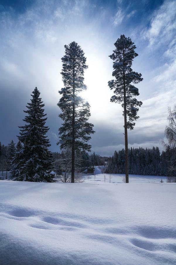Asarna Skicenter Bagian luar foto