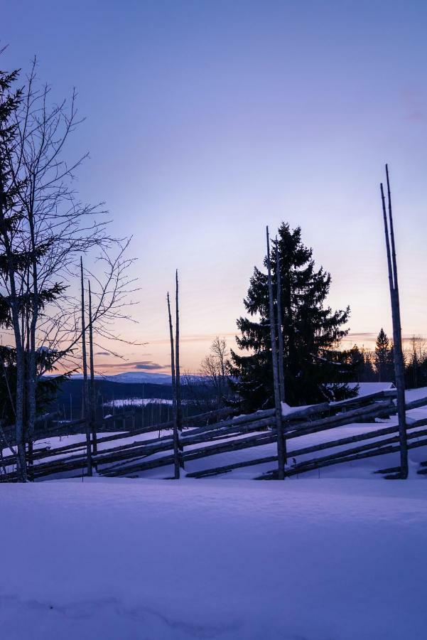 Asarna Skicenter Bagian luar foto